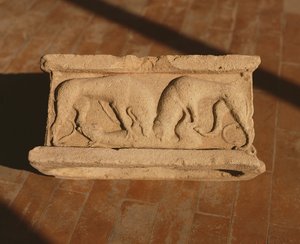 Arula door Roman